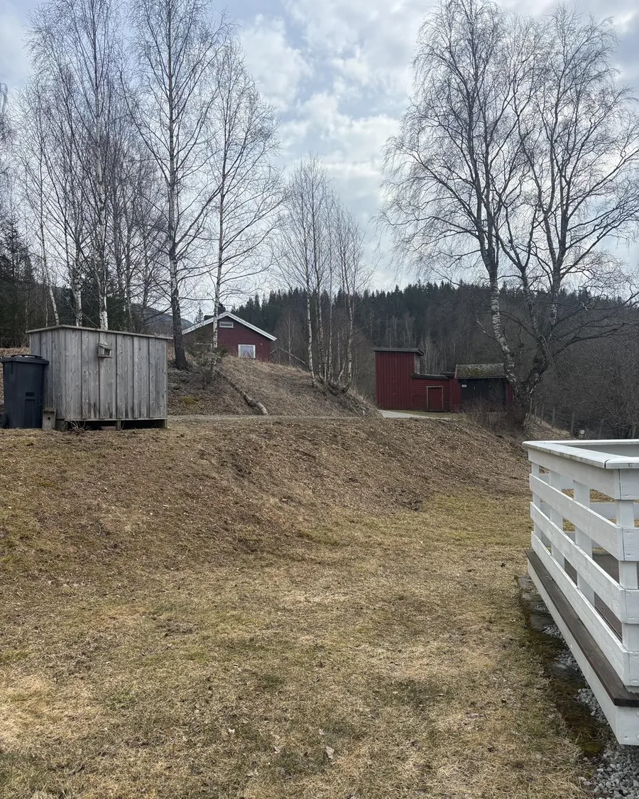 Etter trefelling